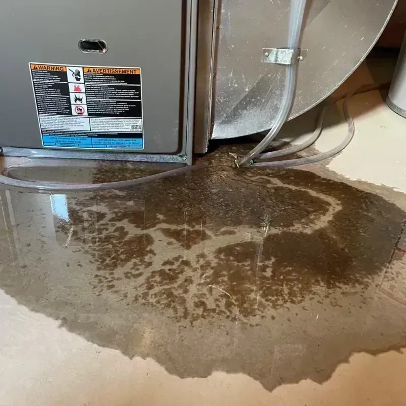 Appliance Leak Cleanup in West Canton, NC